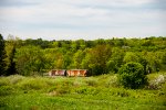 Two Rusty grain cars